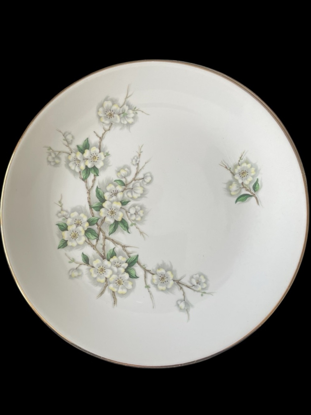 Vintage Georgian Spring Blossom Dinner Plates 2